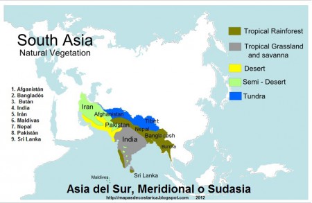 Asia Meridional
